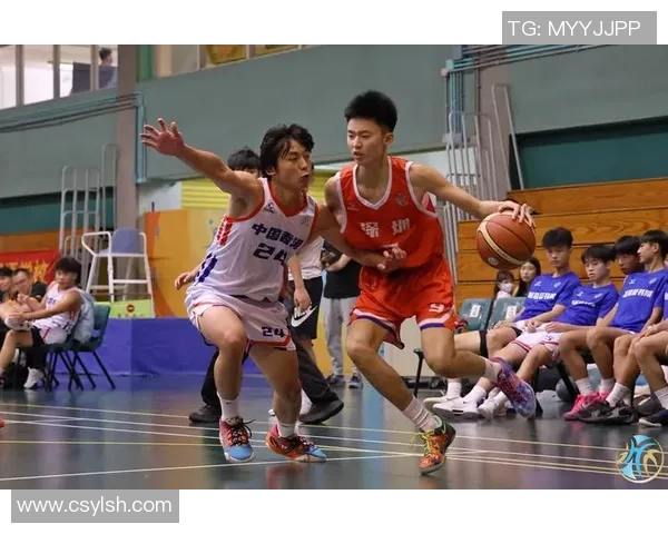 广州篮球队荣登全国篮球比赛经验排行榜第十名的背后故事与启示