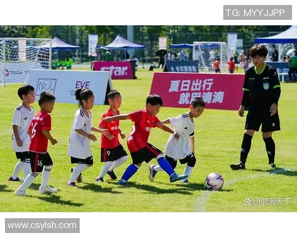 足球明星大熊猫的传奇旅程与绿茵场上的精彩瞬间